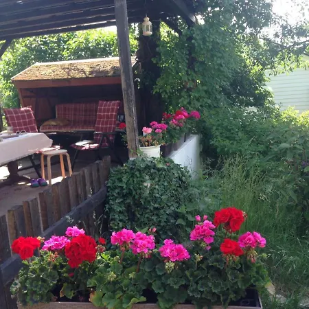 Am Balkon Des Erzgebirges Lejlighed *