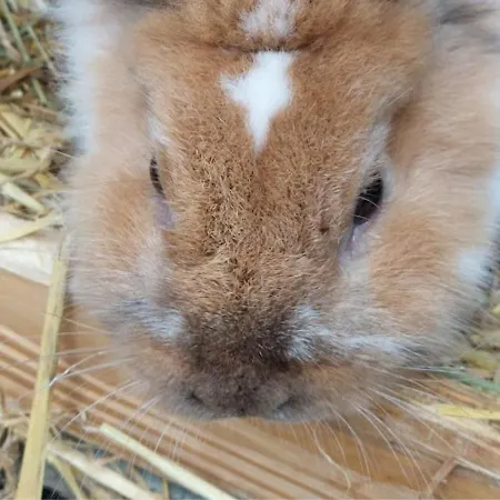Am Balkon Des Erzgebirges *
