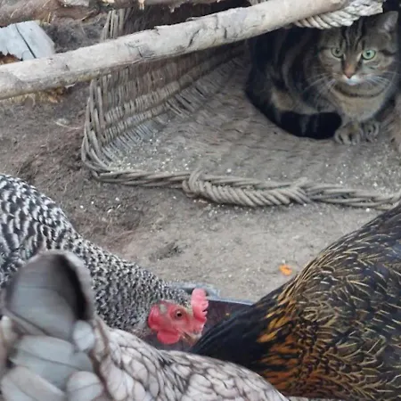 Am Balkon Des Erzgebirges * Bernsbach