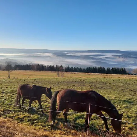 Am Balkon Des Erzgebirges Apartment Bernsbach