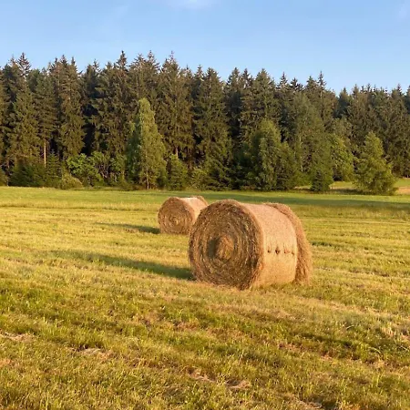 Apartment Am Balkon Des Erzgebirges *