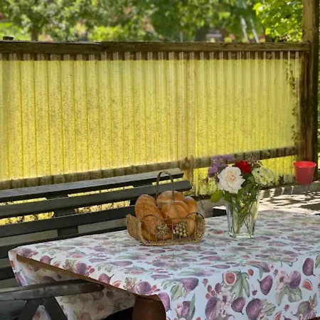 Apartment Am Balkon Des Erzgebirges *