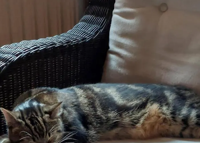 Am Balkon Des Erzgebirges Daire *