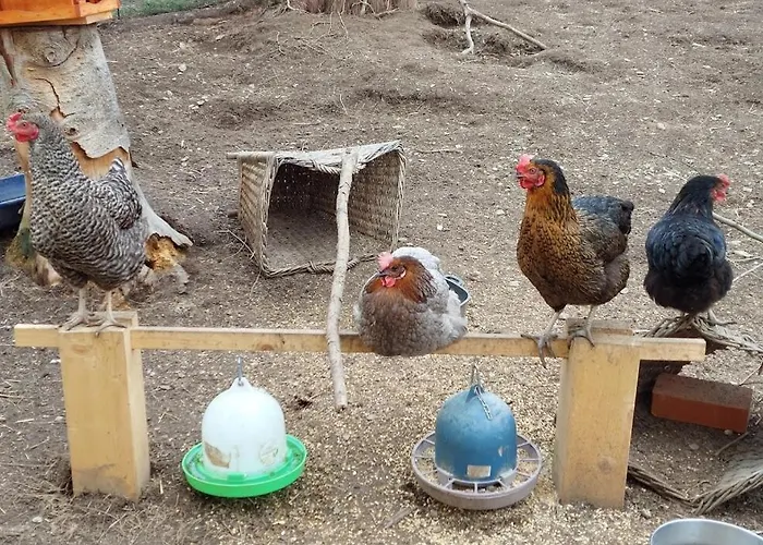 Am Balkon Des Erzgebirges Daire Bernsbach