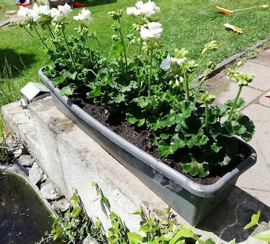 Am Balkon Des Erzgebirges Daire