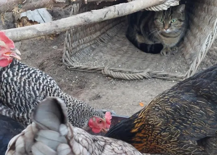 Am Balkon Des Erzgebirges * Bernsbach