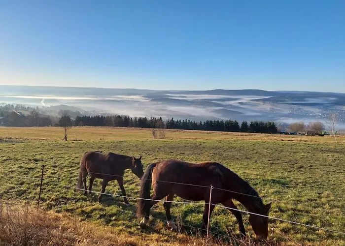 Am Balkon Des Erzgebirges Apartment Bernsbach