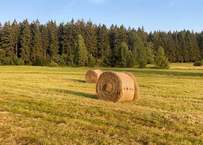 Apartment Am Balkon Des Erzgebirges *