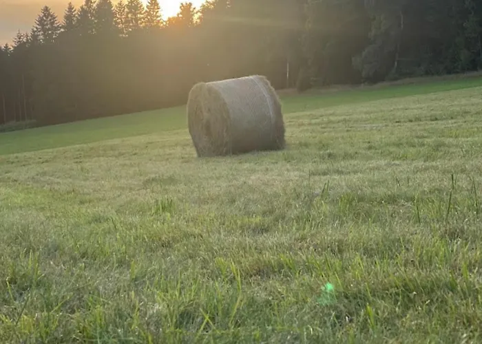 Apartment Am Balkon Des Erzgebirges