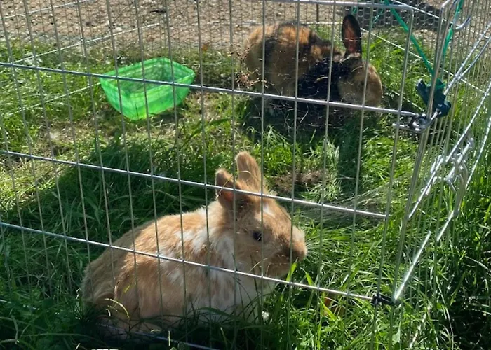Apartment Am Balkon Des Erzgebirges *